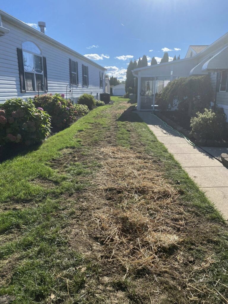 landscaping trenching near me mentor ohio